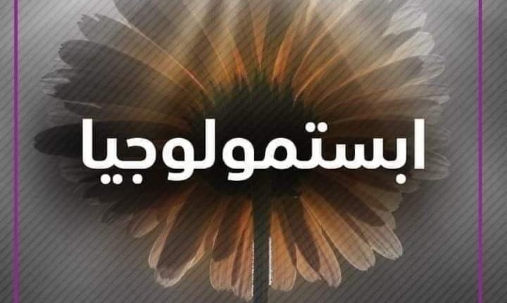 تأملات مع رحيل عام